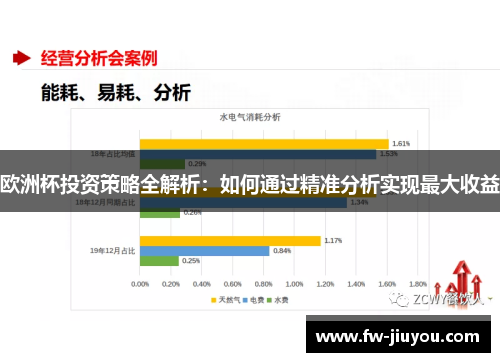 欧洲杯投资策略全解析：如何通过精准分析实现最大收益